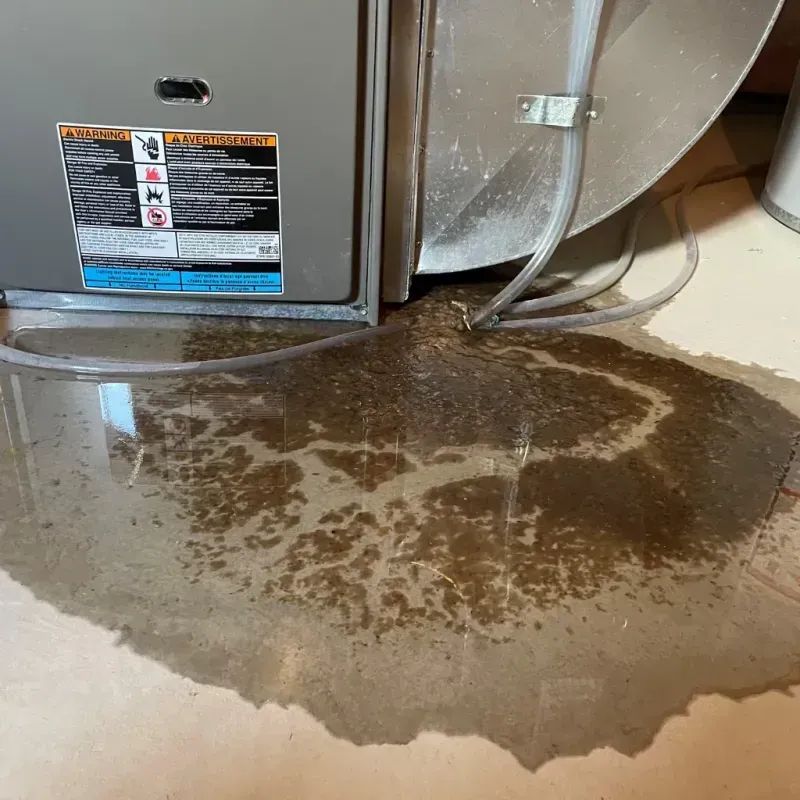 Appliance Leak Cleanup in Long Lake, IL